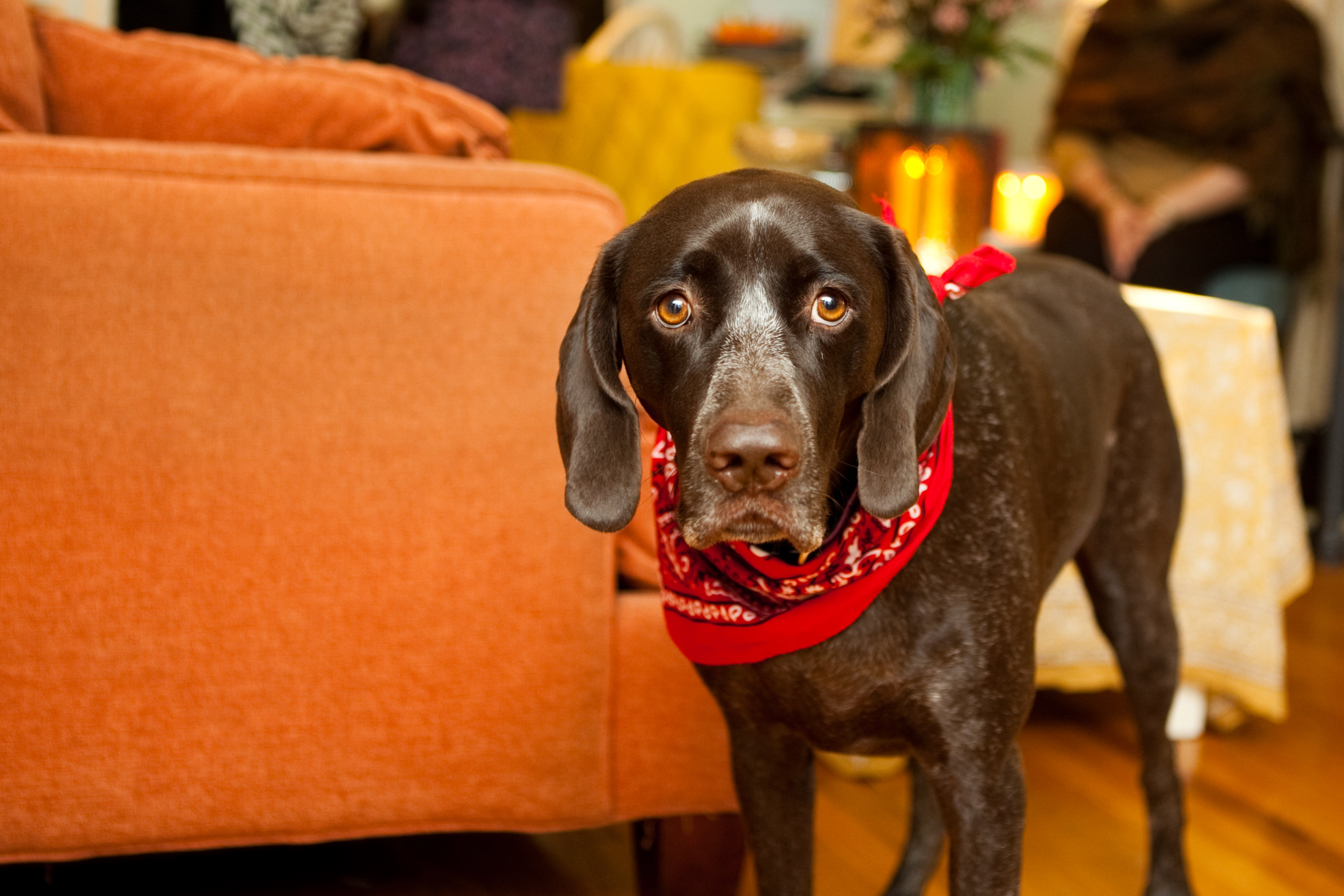 View More: http://caseyfutrell.pass.us/mels-bridal-shower-jpgs